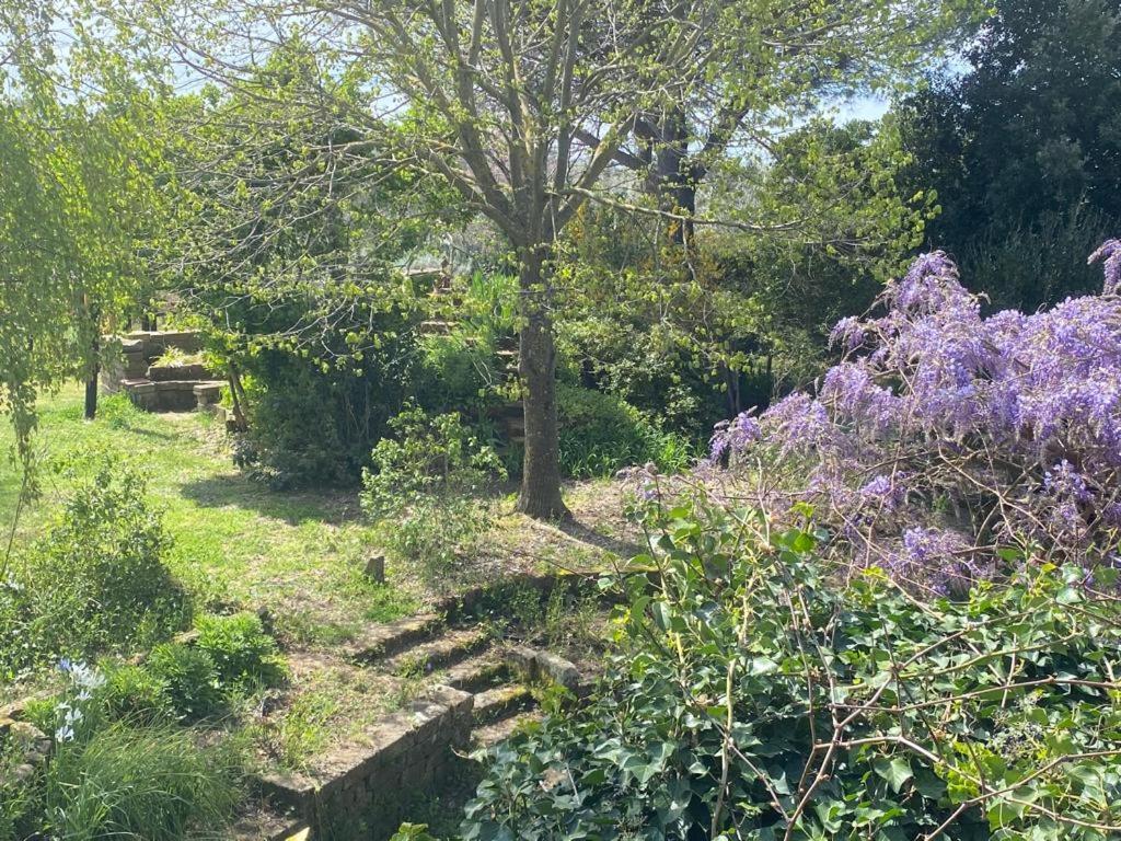 Agriturismo Solidor ピティリアーノ エクステリア 写真