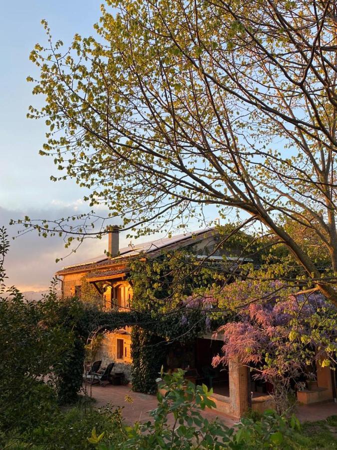 Agriturismo Solidor ピティリアーノ エクステリア 写真