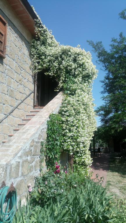 Agriturismo Solidor ピティリアーノ エクステリア 写真