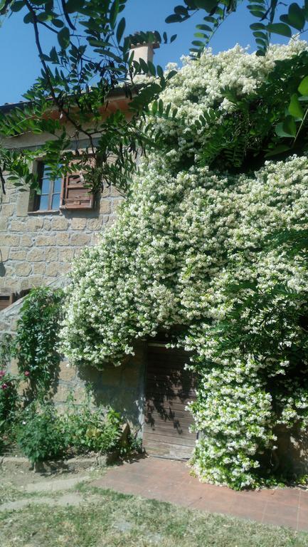 Agriturismo Solidor ピティリアーノ エクステリア 写真